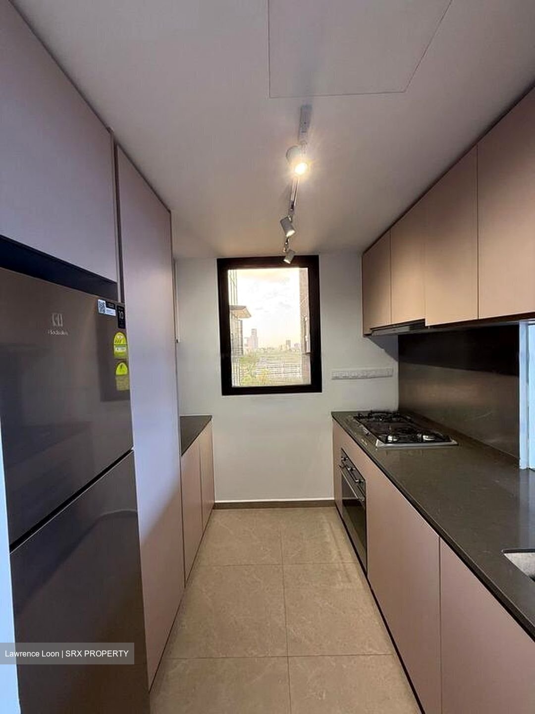 Kopar At Newton (D9), Apartment #457005051